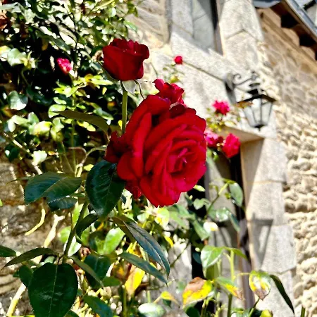 Tatil Evi Diamant, Vallee Du Scorff, Nature, Bien-etre Arzano