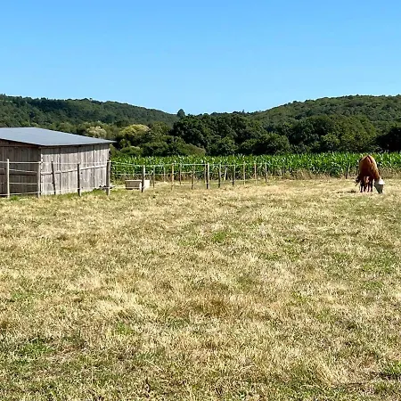 Tatil Evi Diamant, Vallee Du Scorff, Nature, Bien-etre *
